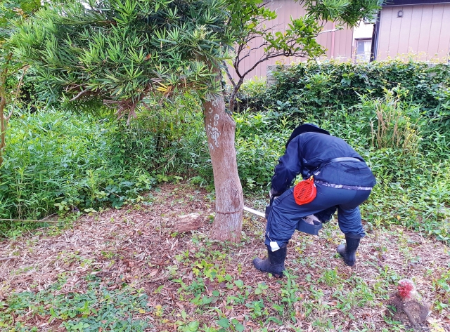 伐採・抜根・お庭のメンテナンス